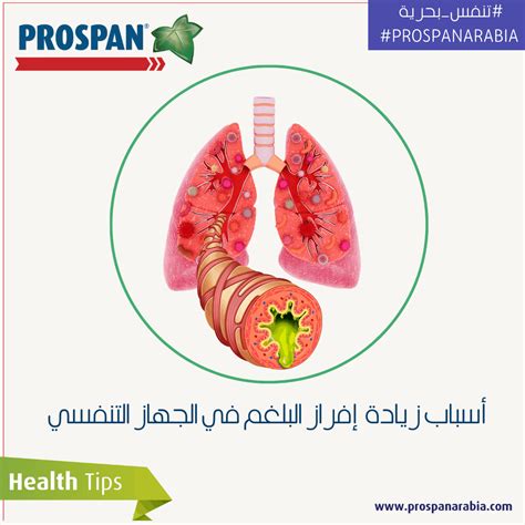 Causes And Treatment Of Excess Mucus Production In The Respiratory