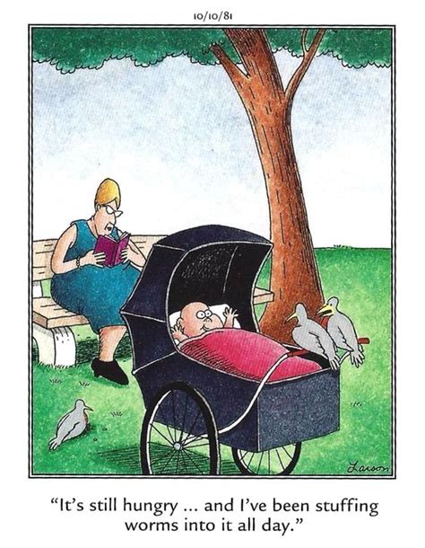 Birds Feed Baby With Images Good Cartoons Far Side