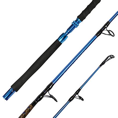 Top Best Master Saltwater Fishing Rods In Buying Guide Best