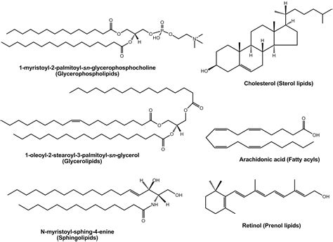 Lipidomics Wiki Everipedia