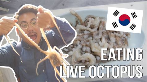 Eating Live Octopus Korea Day 3 And 4 Youtube