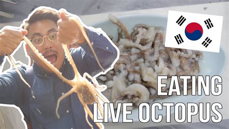 Eating Live Octopus Korea Day Youtube