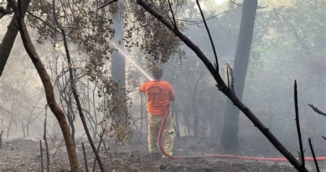 Son dakika beykoz'da yangın var mı? Beykoz'da ormanlık alandaki yangın söndürüldü - Son Dakika Haberler