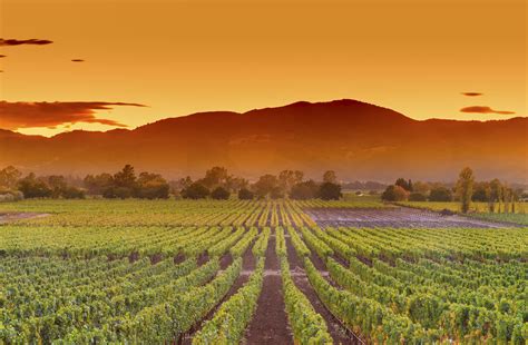 Summer In Napa Valley Weather And Event Guide
