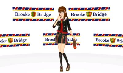 Style savvy styling star guide. New Style Boutique 3: Styling Star Guide: Brands