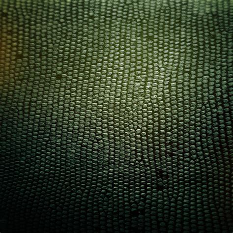Textura Piel De Serpiente Wallpapers