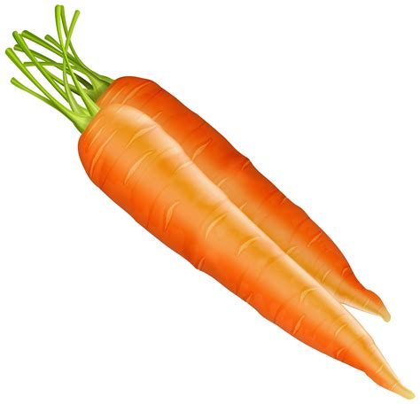 Carrot Pieces Clipart 20 Free Cliparts Download Images On Clipground 2023