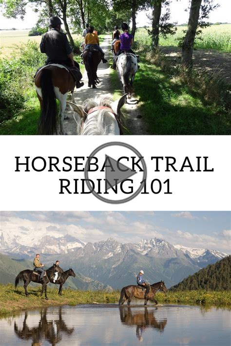 Horseback Trail Riding Guide Trail Riding Trail Riding Horses