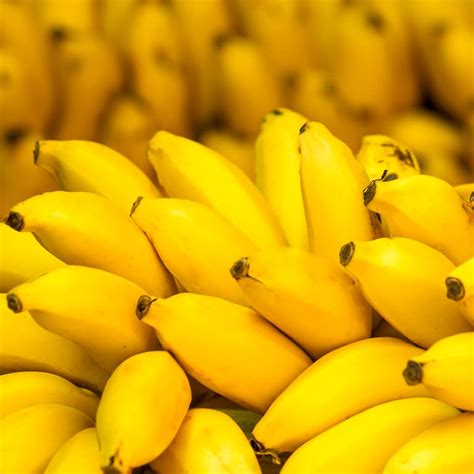 Human Trials Planned For Genetically Modified Super Bananas