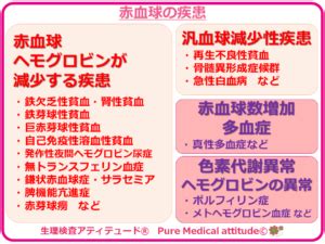Check spelling or type a new query. 血液疾患の種類と『赤血球』の疾患 | ブログ,医療情報サイト,心 ...