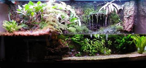 In this video we display how to build a miniature waterf. DIY terrarium waterfall - Google Search | Pets? | Pinterest | The o'jays, Waterfalls and Terrarium