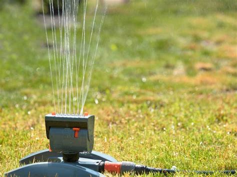 A healthy lawn needs good soil, just like a garden. How Long to Water Your Lawn with Oscillating Sprinklers - Garden Tabs