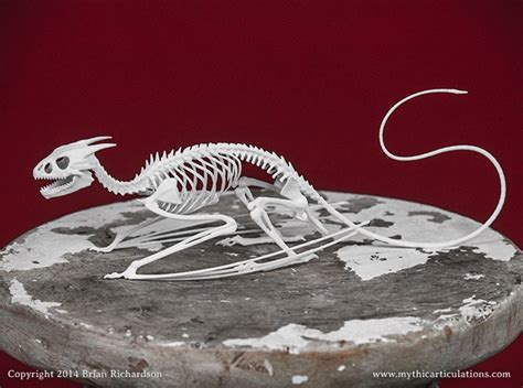 Horned Wyvern Dragon Skeleton 3d Print By Mythicarticulations
