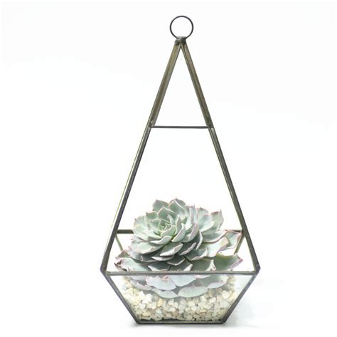Geometric Pyramid Glass Vase Succulent Terrarium By Dingading Terrariums