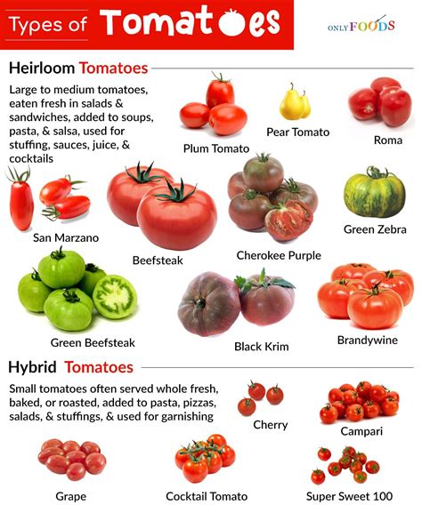 15 Different Types Of Tomatoes For Snacking Cooking And More
