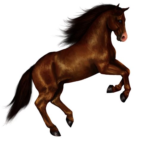 Download Horse Png 8 Hq Png Image Freepngimg