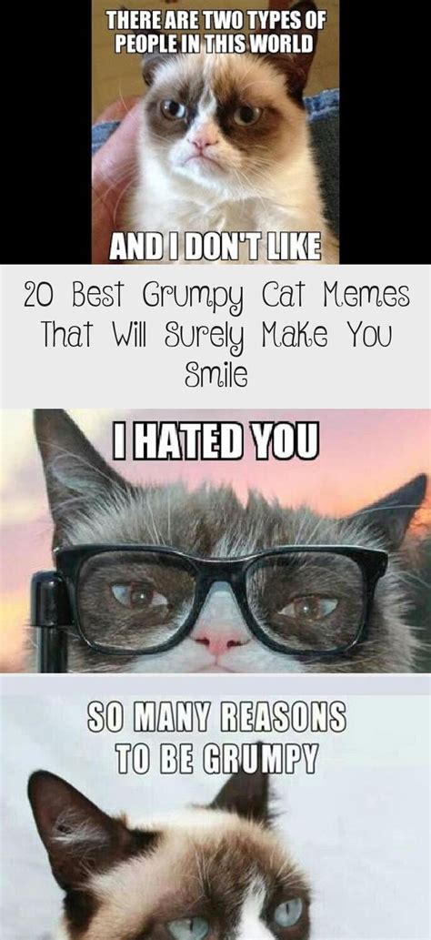 20 Best Grumpy Cat Memes That Will Surely Make You Smile