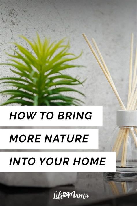 Bring Nature Into Your Home Tips And Tricks Earthy Home Earthy Home