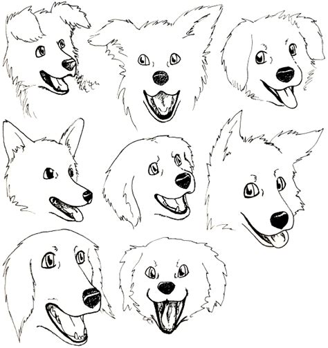 Dog Mouth Practice By Figbeater On Deviantart