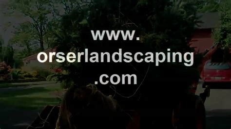 Moving Trees W Chris Orser Landscaping Youtube