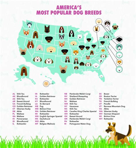 The Most Searched For Dog Breed In Your State Might Surprise You