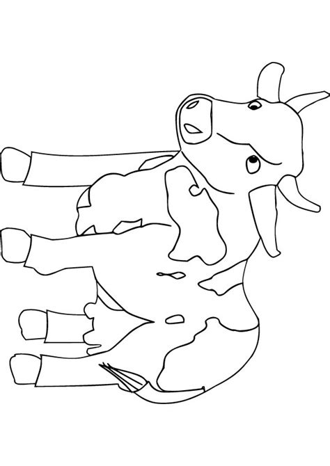 Baby Cow Free Coloring Page