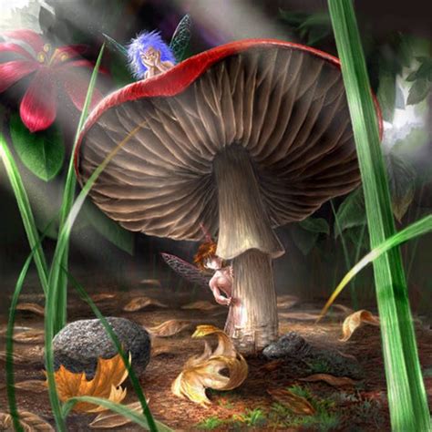 Fairy Fun Faeries Fairy Magic Mushroom Art