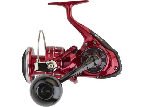 Moulinet Daiwa Bg Rr Ark Moulinet Lourd Pour Exotique Daiwa