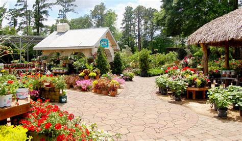 Top 12 Nurseries And Garden Centers In Greater Houston Rg Bonsai