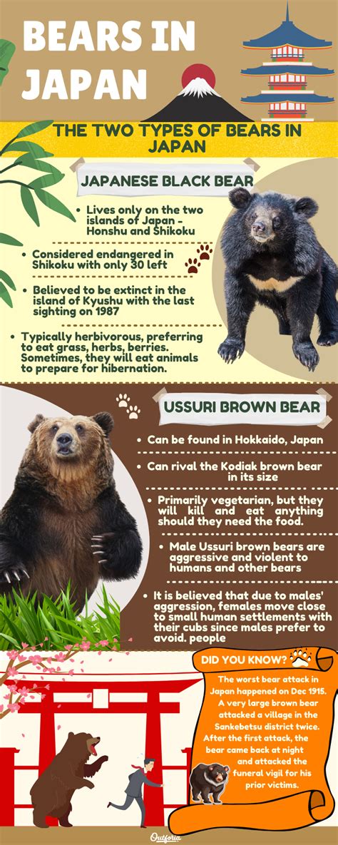 The Two Ferocious Bears In Japan With Pictures And Facts Golden