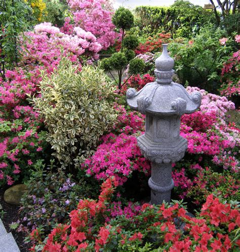 Check spelling or type a new query. Pflanzen Für Japanischen Garten - Test