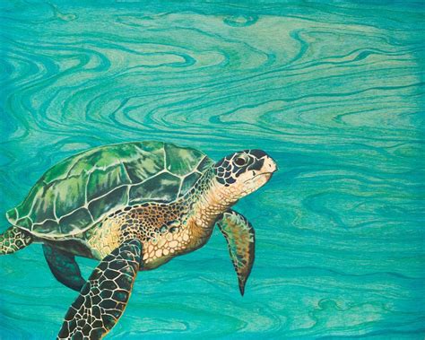 Honu Sea Turtle Fine Art Print By Emily Brantley Turtle Painting