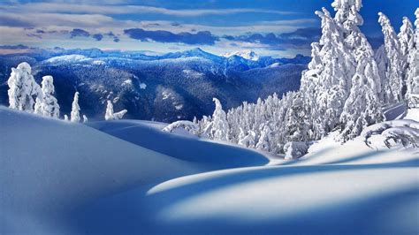 Free Download Beautiful Winter Scenery Wallpaper 6040 1920x1080 For