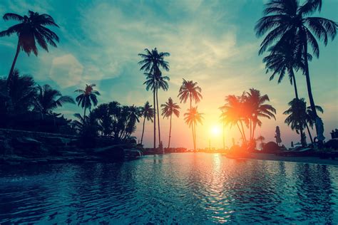 Palm Trees Sunset Wallpapers Top Free Palm Trees Sunset Backgrounds