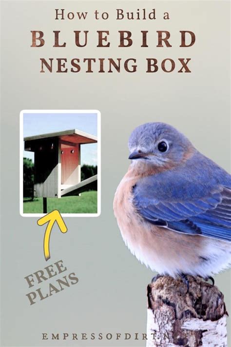 Free Bluebird Nesting Box Plans Step By Step Tutorial Bird House