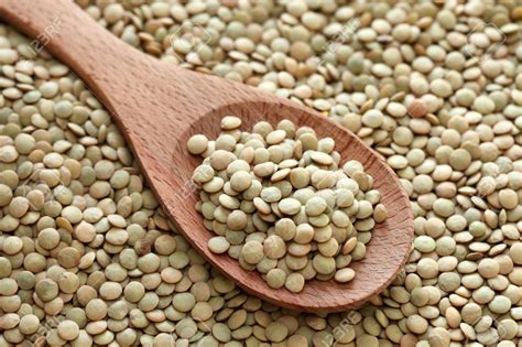 Lentille verte 500gr