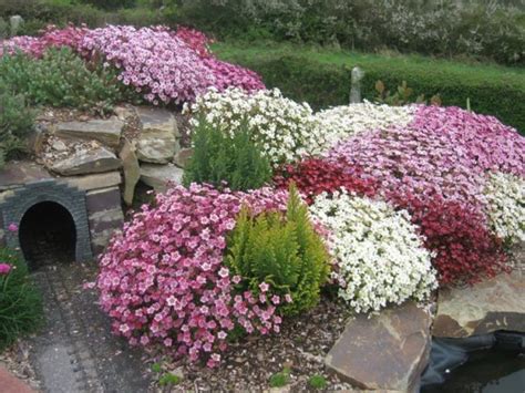 Erfreuen sie sich an den strahlenden blüten und suchen sie sich jetzt die passenden sträucher mit blüten für ihren garten Pin on Garten