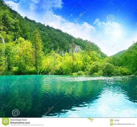 Green Water Lake Stock Image Image Of Horizon Beautiful 7723587