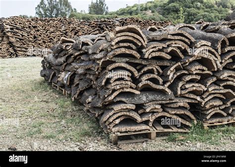 Pile Of Bark From Cork Stock Photo Alamy