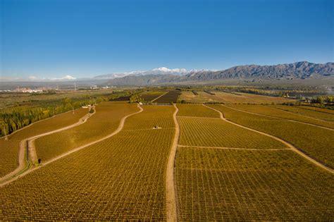 Chile And Argentina The Ultimate Wine Tour Upscape