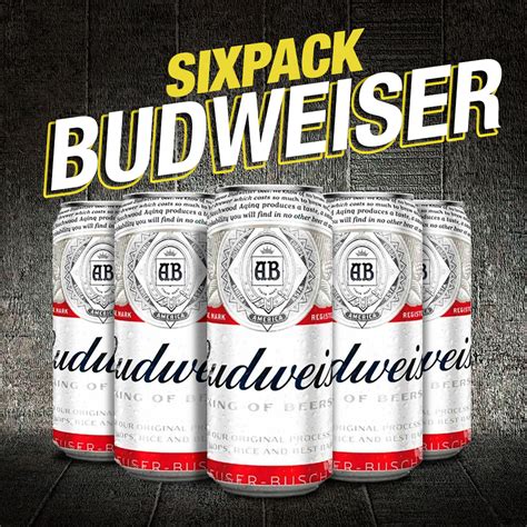 Six Pack Budweiser The Drink Store