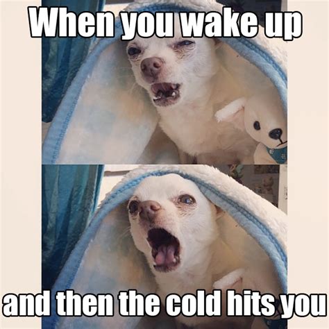 13 First Day Of Winter Memes That Will Help Cure Those Seasonal Blues