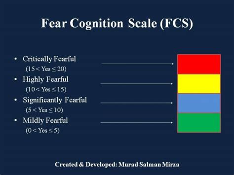 An Introduction To The Fear Cognition Scale Fcs For The Digital Workplace