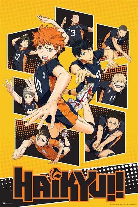 Buy Haikyuu Poster Karasuno High School Volleyball Team Shoyo Anime Stuff Haikyuu Manga Haikyu