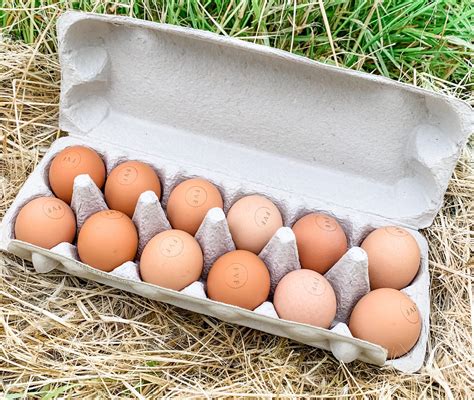 Large Organic Pastured Dozen Eggs 600 Gms Freestone Valley Farms