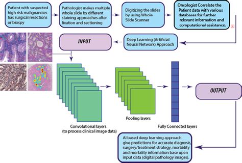 Workflow For Artificial Intelligence Approach For Digital Pathology