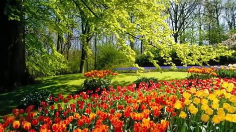O CASASHOPPING CELEBRA A PRIMAVERA COM O EVENTO “O DESENHO DA FLOR