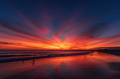 Free Images Flaming Raspberry Sunset Horizon Afterglow Sunrise