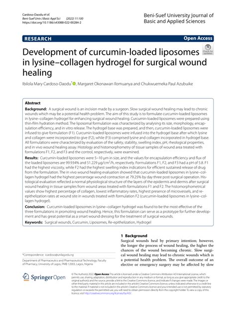 PDF Development Of Curcumin Loaded Liposomes In Lysinecollagen