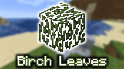 Birch Leaves Wiki Guide 9minecraftnet